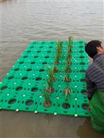 2014出售人工植物浮岛  生态浮岛 生物浮岛 植物浮岛