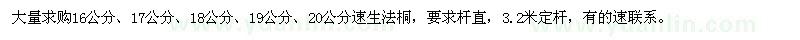 求购16、17、18、19、20公分速生法桐