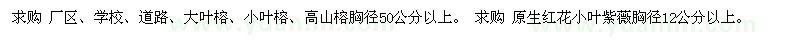 求购榕树、红花小叶紫薇