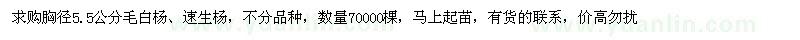 求购胸径5.5公分毛白杨、速生杨