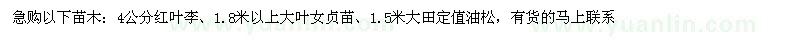 求购红叶李、大叶女贞苗、油松