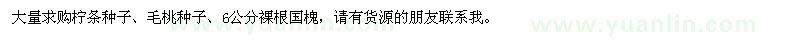 求购柠条种子、毛桃种子、6公分裸根国槐