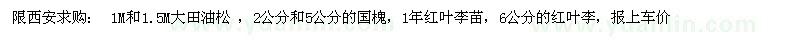 求购大田油松、国槐、红叶李苗