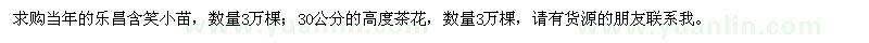 求购乐昌含笑小苗、高30公分茶花