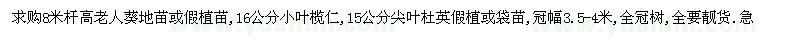 求购老人葵、小叶榄仁、尖叶杜英