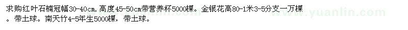 求购红叶石楠、金银花、南天竹