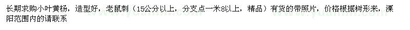 求购小叶黄杨、15公分以上老鼠刺