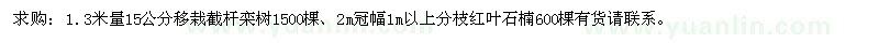 求购栾树、红叶石楠