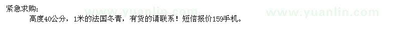 求购高0.4、1米法国冬青