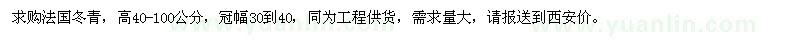 求购高40-100公分法国冬青