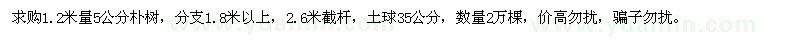 求购1.2米量5公分朴树