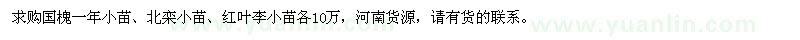 求购国槐小苗、北栾小苗、红叶李小苗