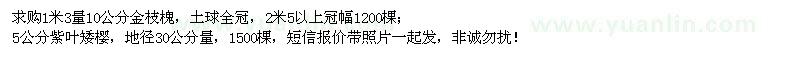 求购1米3量10公分金枝槐、5公分紫叶矮樱