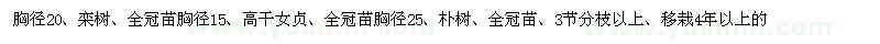 求购栾树、高干女贞、朴树