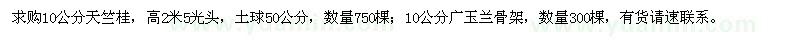 求购10公分天竺桂、广玉兰