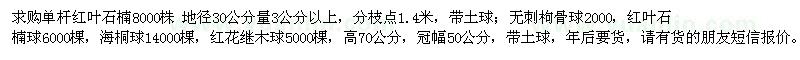 求购单杆红叶石楠、无刺枸骨球、红叶石楠球、海桐球、红花继木球