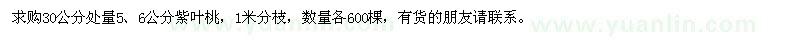 求购地径5、6公分紫叶桃各600棵