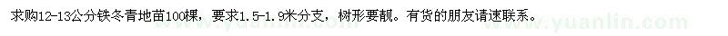 求购12-13公分铁冬青地苗100棵