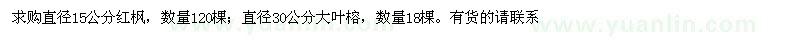 求购直径15公分红枫、直径30公分大叶榕