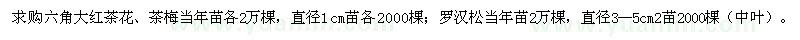 求购六角大红茶花、茶梅当年苗各2万棵 罗汉松当年苗2万棵
