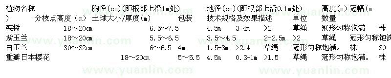 求购栾树、紫玉兰、白玉兰、重瓣日本樱花