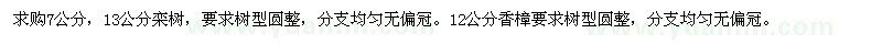 求购栾树、香樟