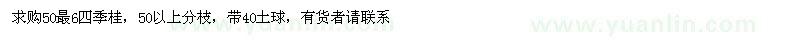 求购50最6四季桂