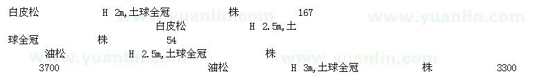 求购白皮松油松侧柏