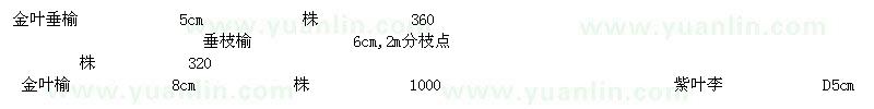 求购金叶榆金叶垂榆垂枝榆紫叶李山楂