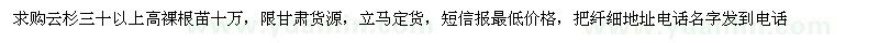 求购云杉三十以上高裸根苗十万