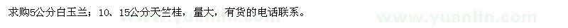 求购5公分白玉兰 10、15公分天竺桂