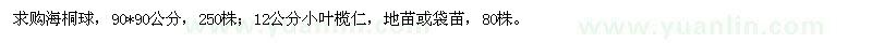 求购海桐球250株,小叶榄仁80株