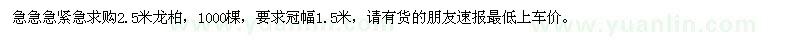 求购高2.5米龙柏1000棵