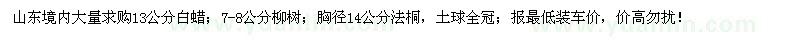 求购白蜡、柳树、法桐