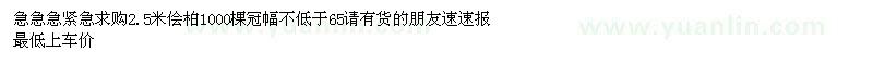 求购2.5米侩柏1000棵