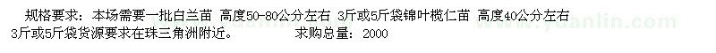 求购白兰苗 锦叶榄仁苗 高度50公分左右.高山榕，香樟，羊蹄甲