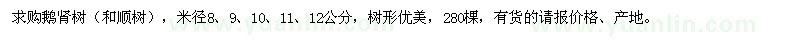 求购米径8,9,10,11,12公分的鹅肾树（和顺树