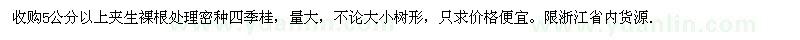 求购5公分以上夹生裸根处理密种四季桂