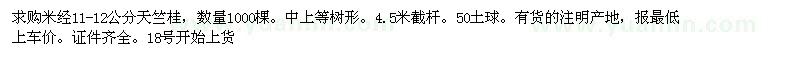 求购米经11-12公分天竺桂 数量1000棵