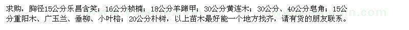 求购乐昌含笑、桢楠、羊蹄甲、黄连木、皂角、重阳木、广玉兰、垂柳、小叶榕、朴树