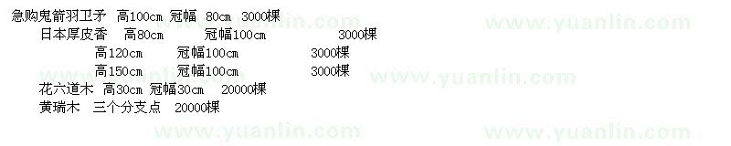 求购鬼箭羽卫矛、日本厚皮香、花六道木、黄瑞木