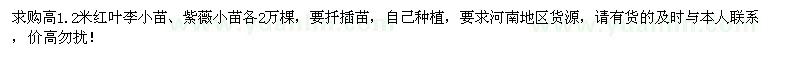 求购高1.2米红叶李小苗、紫薇小苗各2万棵