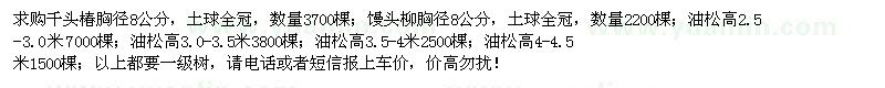 求购千头椿、馒头柳、油松