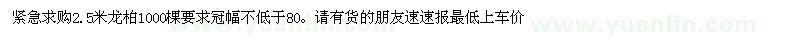 求购2.5米龙柏1000棵