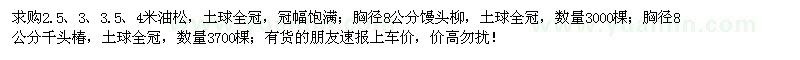 求购油松、馒头柳、千头椿