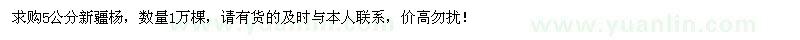 求购5公分新疆杨1万棵