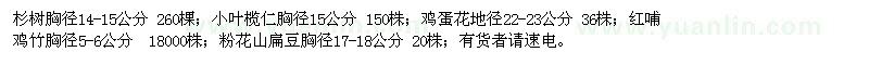 求购杉树、小叶榄仁、鸡蛋花、粉花山扁豆