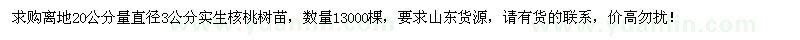 求购20量3公分实生核桃树苗1.3万棵