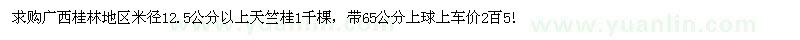 求购米径12.5公分以上天竺桂