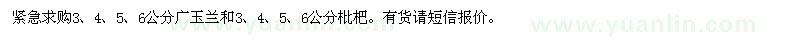 求购3,4,5,6公分广玉兰和枇杷